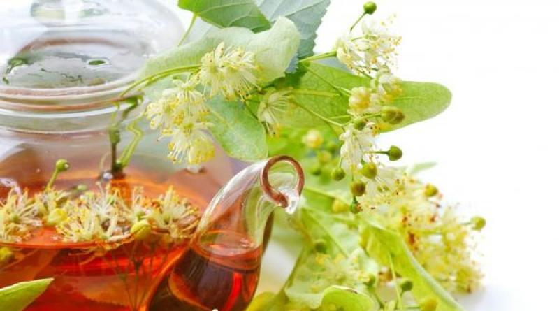 Kako pravilno skuhati biljni čaj: karakteristike pripreme