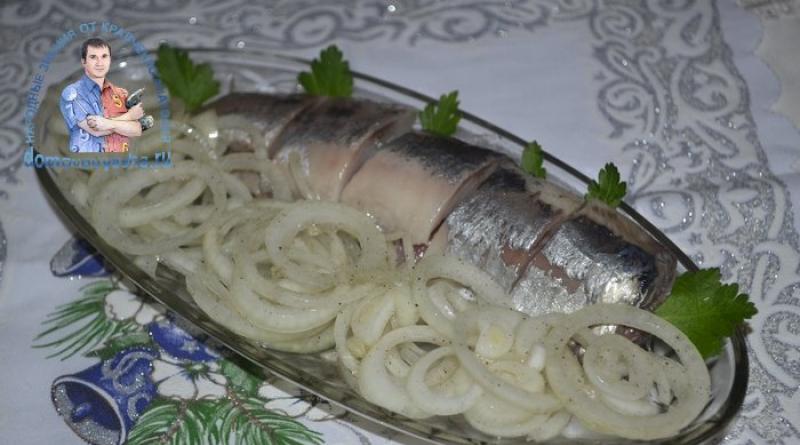 How to pickle herring and onions in vinegar: the best recipes How to prepare pickled onions for herring